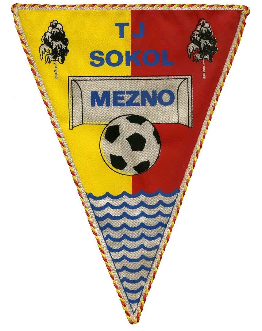 TJ Sokol Mezno, spolek