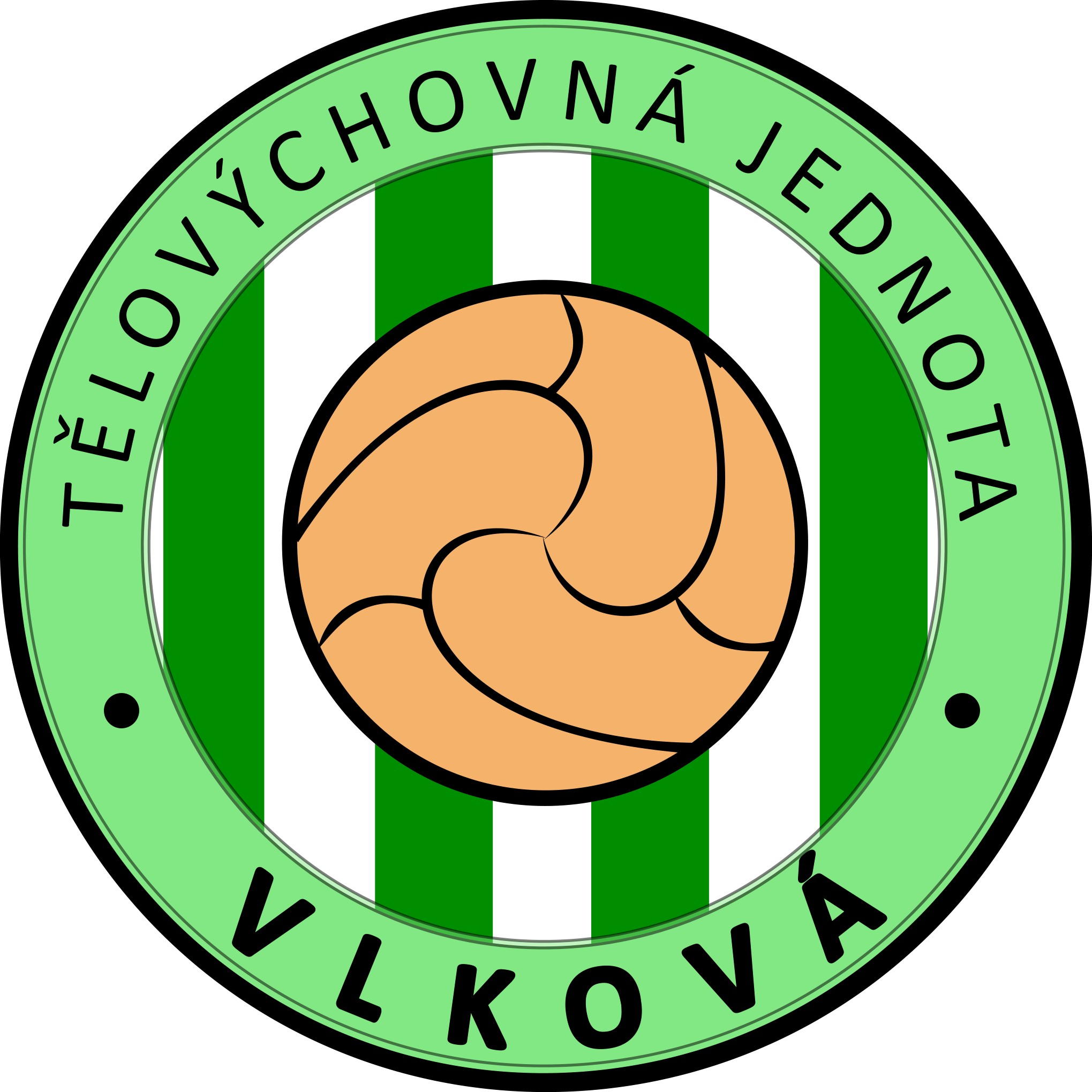 TJ Vlková, z.s.