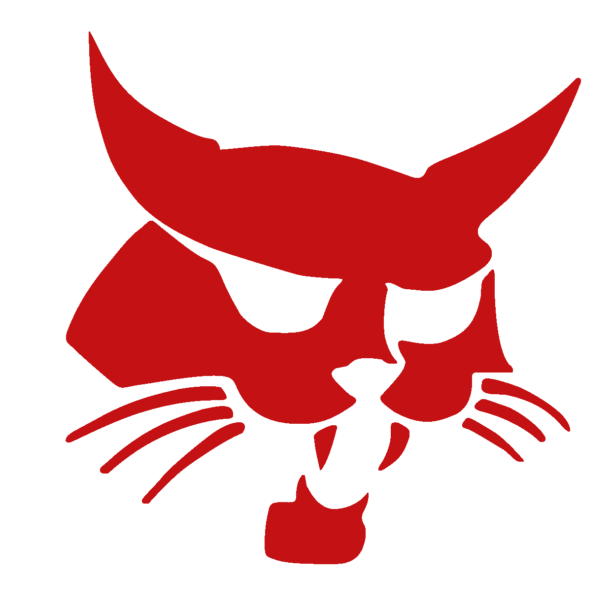 PŘÍBRAM BOBCATS z.s.