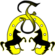 Jezdecký klub CLUB F, z.s.