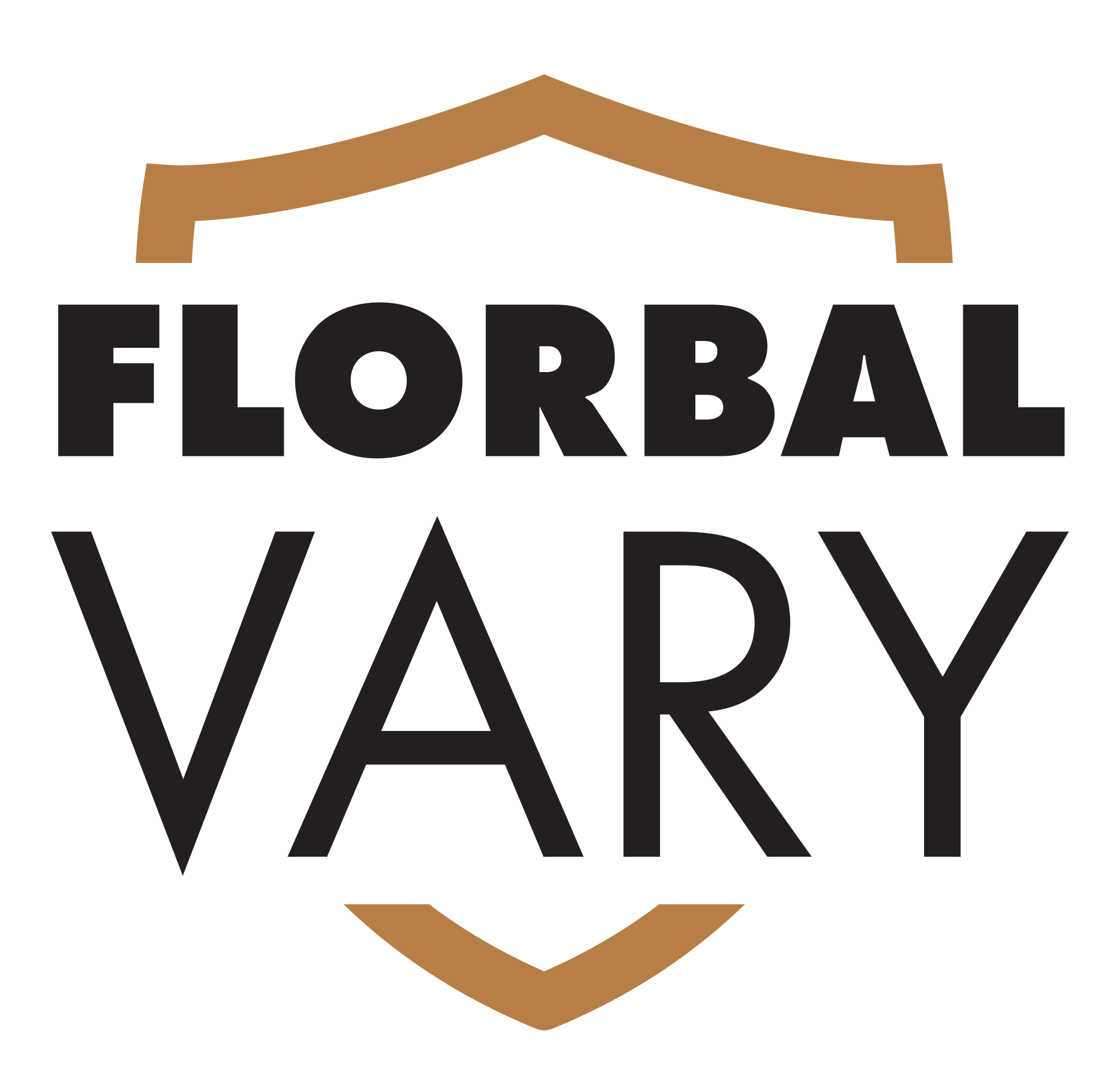 Florbal Vary, z.s.