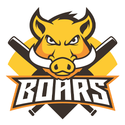 Slavia VŠ Plzeň Softball, z.s.