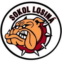 TJ Sokol LOSINÁ, z.s.
