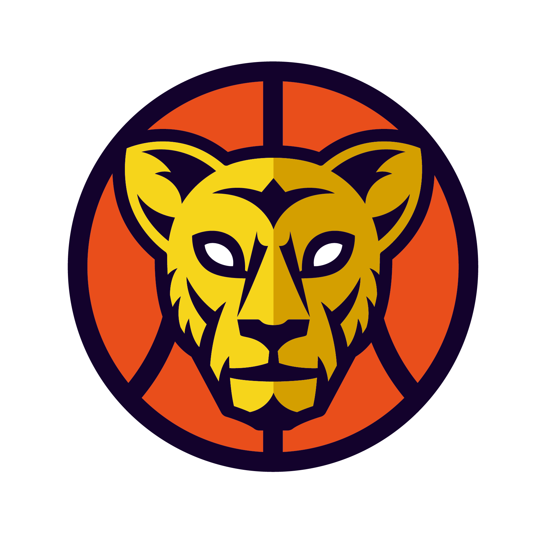 BK Lvice Litoměřice z.s.