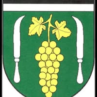 TJ Starý Poddvorov, spolek