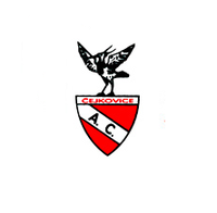 AC Čejkovice z.s.