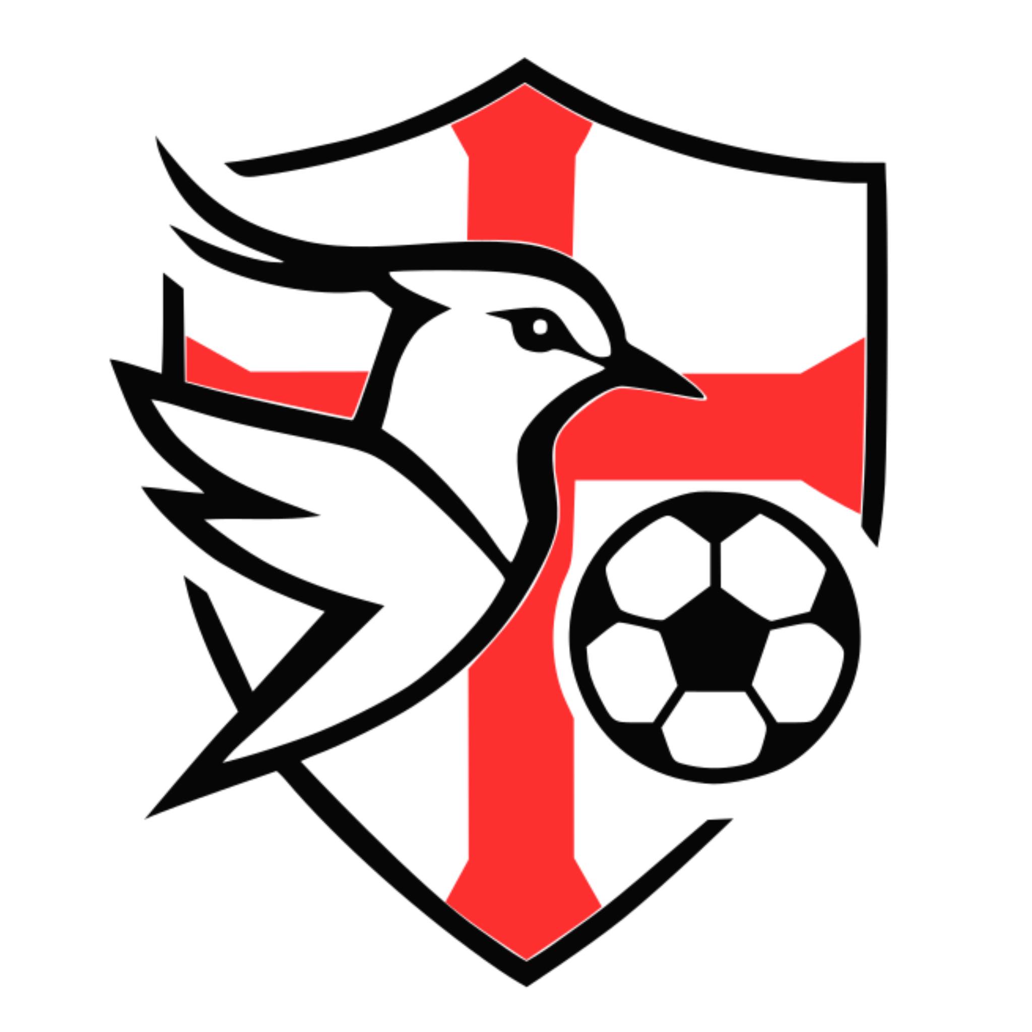 FC Čejkovice z.s.