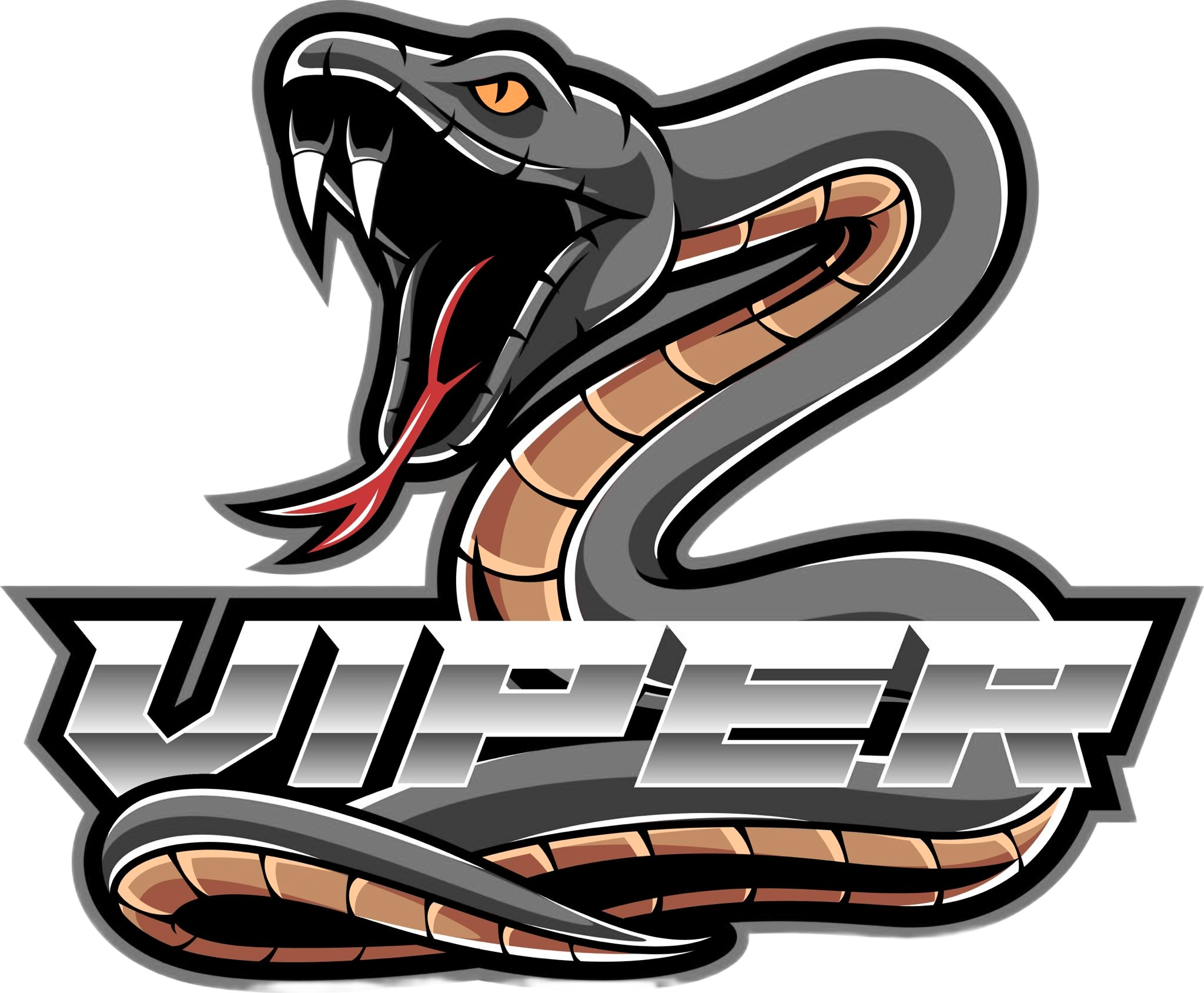 SK Viper z.s.
