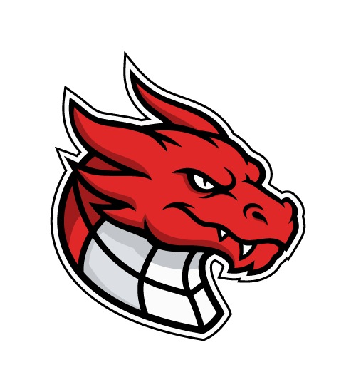Florbal Erupting Dragons z.s. Havlíčkův Brod